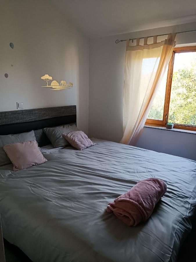 Apartman Brigita Leilighet Biograd Na Moru Eksteriør bilde